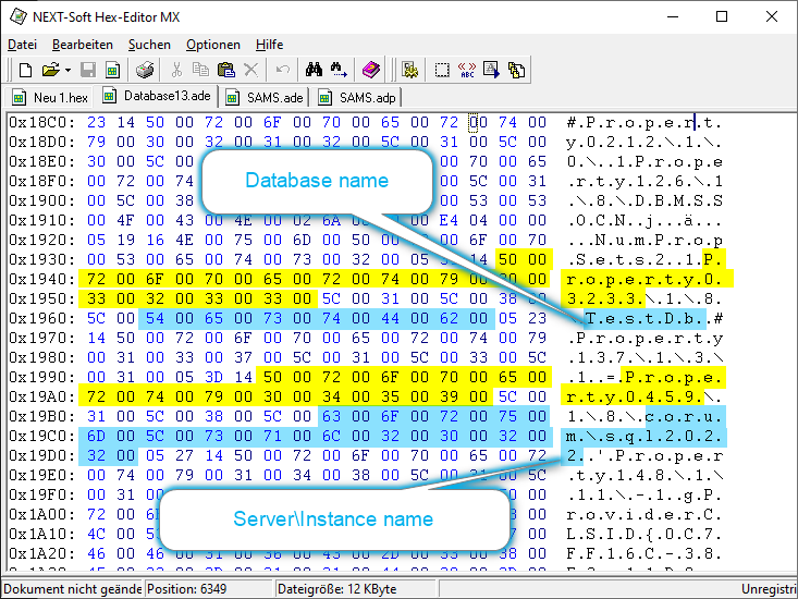 Screenshot of a hex editor showing the values for server name and database name in the ADP file.