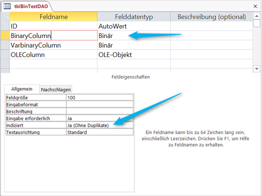 Entwurfsansicht einer Microsoft Access Tabelle mit Binär-Spalte