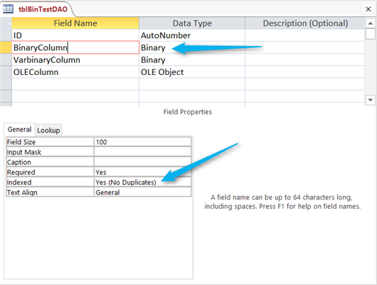 Access Table designer, showing a binary column