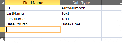 Access Table Designer showing sample table structure