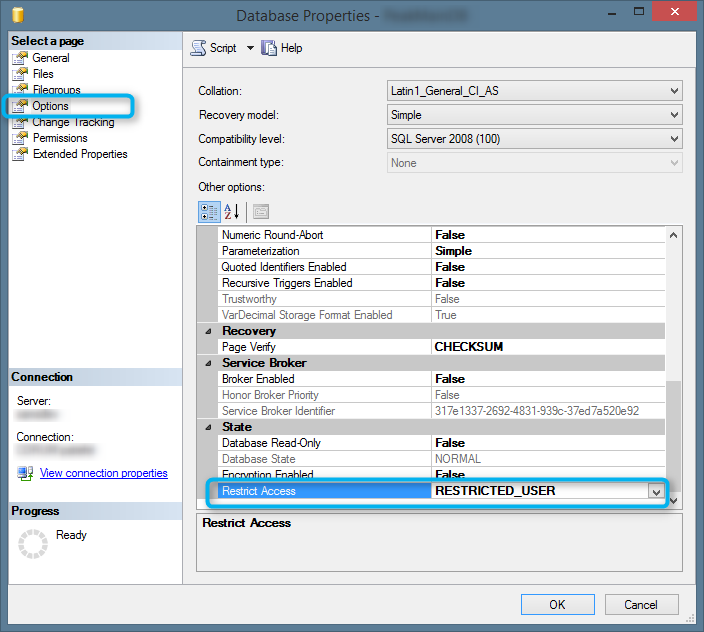 Restricted state option for SQL Server Database